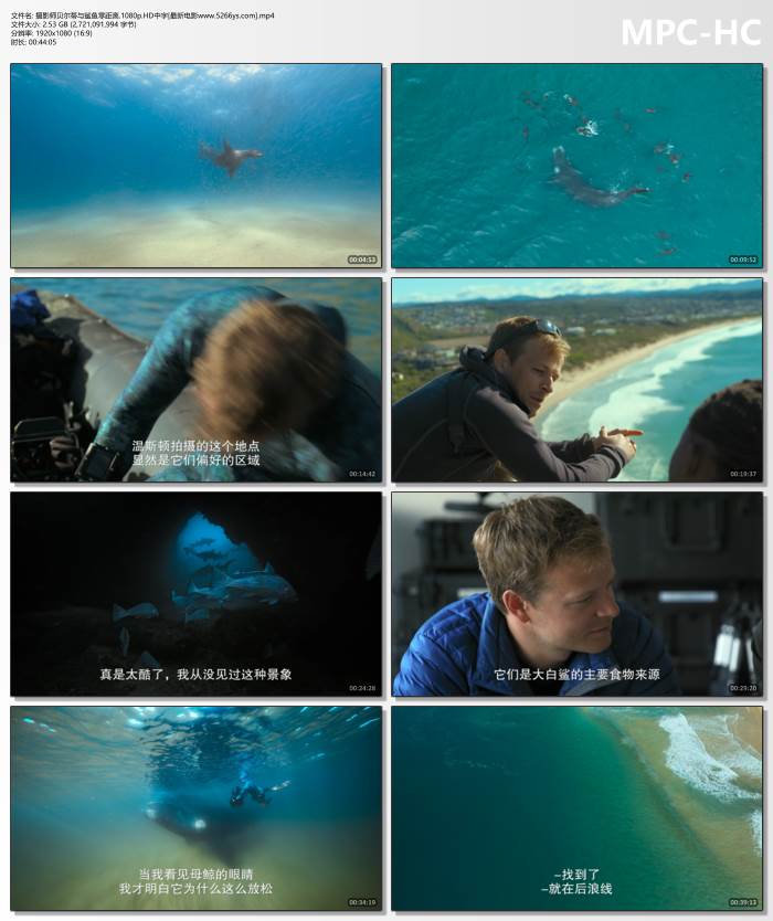 开放式午夜连映
