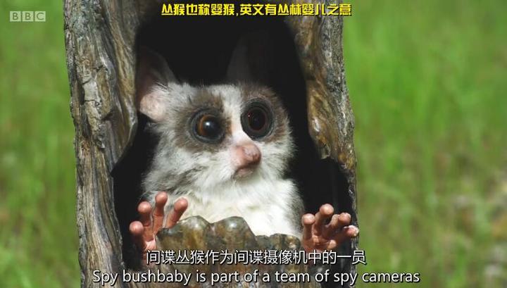 沉浸式观后杂谈
